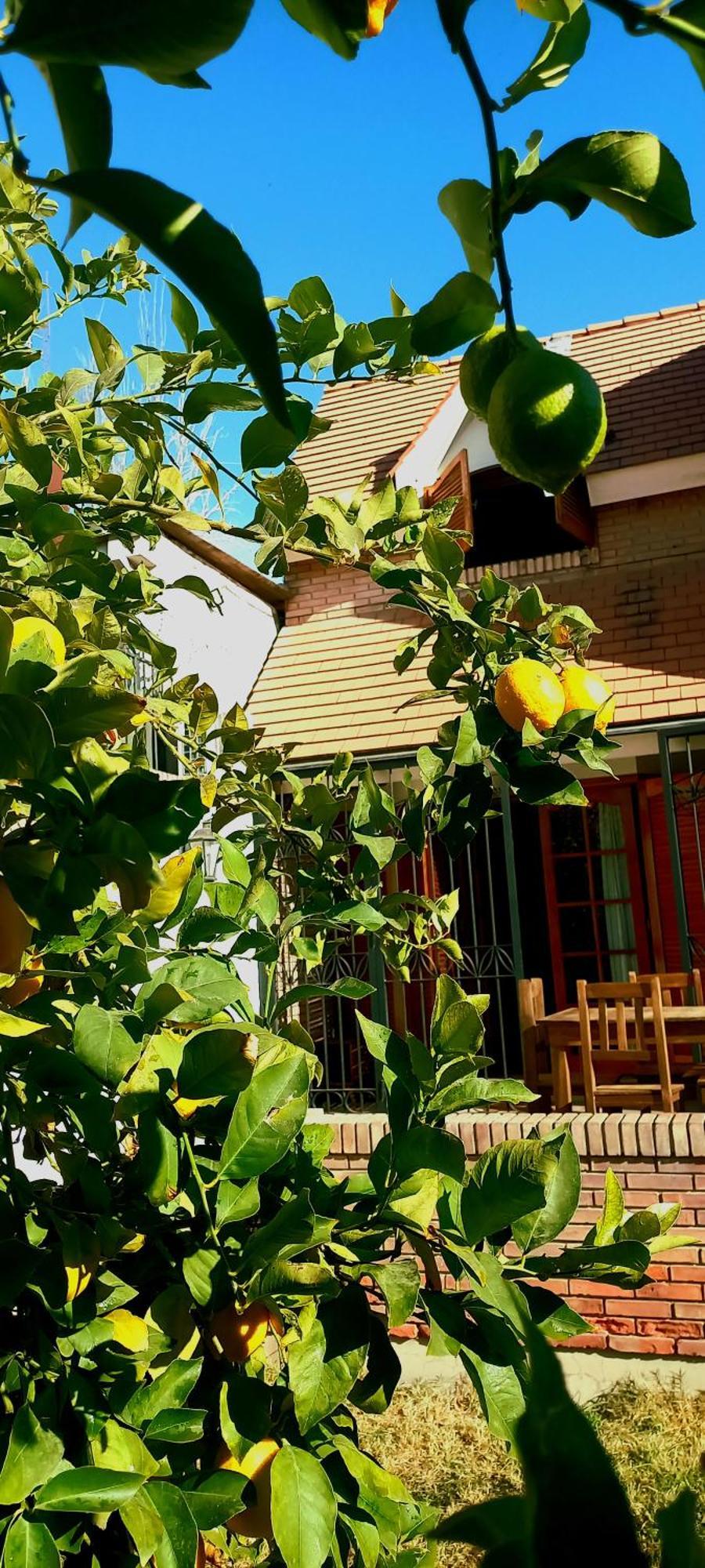 メンドーサ Casa Bravo Bed & Breakfast エクステリア 写真